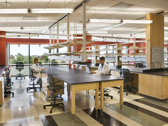 Students working in the laboratory inside the Thomas W. Keating Bioresearch Building (BIO5)
